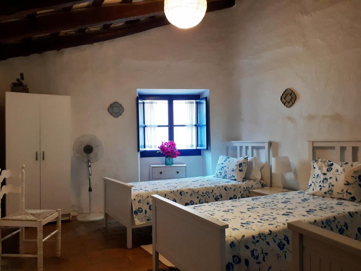 Little Vine Bed & Breakfast Sant Pere De Ribes Exterior photo
