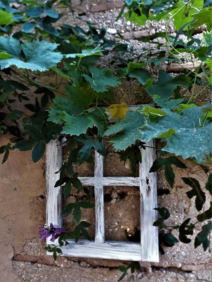 Little Vine Bed & Breakfast Sant Pere De Ribes Exterior photo